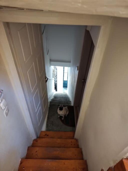 Mary'S Bright Apartment - Corfu Old Town Luaran gambar